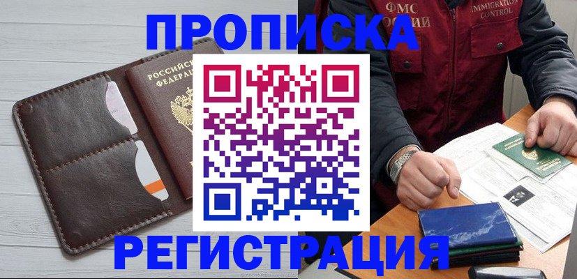 прописка 2025 в Судогде